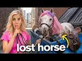 Lagu I Found a Lost Horse