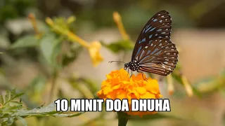 Download 10 Minit Doa Dhuha Setiap Pagi MashaAllah Moga Dikurniakan Murah Rezeki oleh Allah MP3