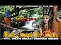 Download Lagu Musik terapi spa,isian burung suara alam air terjun,lagu pengantar tidur penghilang stres