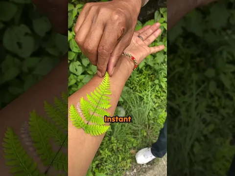 Leaf Tattoo 😳