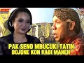 Download Lagu Pak Seno mbucuki Tatin, bojone kon rabi maneh