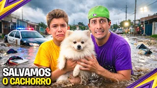 nosso CACHORRINHO fugiu e tivemos que pegar ele no CANIL