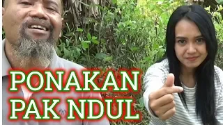Download Pak Ndul - PONAKAN PAK NDUL MP3