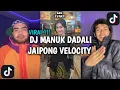 Download Lagu DJ MANUK DADALI JAIPONG VELOCITY VIRAL TIK TOK TERBARU 