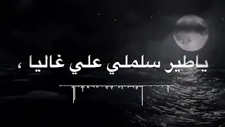 يا طير سلملي علي غاليا    مفتاح امعيلف    اغاني ليبيه    دندنها