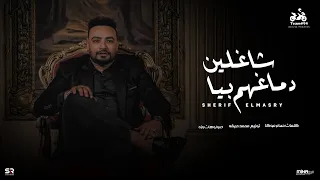 شاغلين دماغهم بيا شريف المصري Sherif Elmasry Official Music Lyrics انتاج ابو السيد 