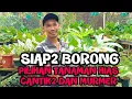 Download Lagu SIAP2 BORONG ‼️PILIHAN TANAMAN HIAS CANTIK2 DAN MURMER