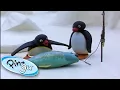 Lagu Pingu Goes Fishing With His Family! 🐟 @Pingu  1 Hour | Cartoons for Kids