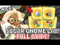 ALL PLAYERS WHAT HOW To Upgrade for Sugar Gnome Laboratory Cookie Run Kingdom