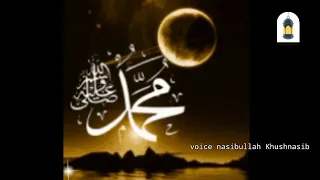 محمد رحمت اللعالمین نصيب الله خوش نصيب 