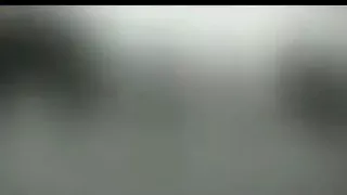 فاضل المزروعي ونيت ونه 