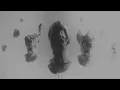 Harrison - All The Things She Said (Official Visualizer)