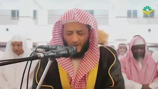 hani ar rifai al insan