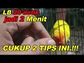Download Lagu TIPS PERFORMA LOVEBIRD BETINA DURASI PENJANG