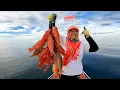 Download Lagu Mancing Spesial HUT RI Ke 80 Tahun 2025,, Full Strike Merdeka  !!