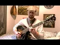 Bracken Fern - Celtic Mandocello Tune