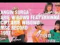 ANGIN SORGA_ARIE WIBOWO FEAT ERVINNA
