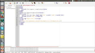 First AngularJs Application