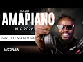 Lagu AMAPIANO MIX 2025 VOL203 | DJ WEBABA