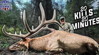 Over 20 ELK BOWHUNTING K*LLS in 20 minutes!