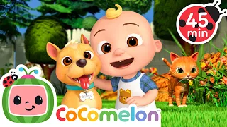 JJ's Pet Song! | CoComelon | Sing Along | Learn about Animals