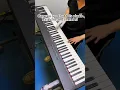 88 key power electric piano