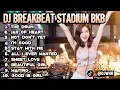 Download Lagu DJ BREAKBEAT STADIUM REBORN FULL  BASS Terbaru 2025 🎶 REMIX SONGS COMPILATION