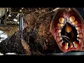 Download Lagu Cacing Mati Mengerikan || Terbelah Dua di Lubang Hellwood || Penggergajian Kayu