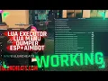 FiveM Cheat Working with Lua Executor Lua Menu SHBypass Dumper Anti Cheat Stopper ESP Aimbot