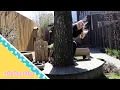 Lagu Op speurtocht 'zoekprenten maken' // De ThuisKlas 6 // Juffertje Naomi