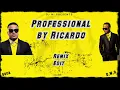 Professional By Ricardo Drue (Dj NI Edit)