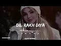 Download Lagu DIL RAKA DIYA + ( Slowed reverb song) 🎧🫀♥️💕#sadsong #1millionviews #foryou #subscribe 🎧🫀♥️