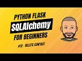 SQLAlchemy Flask for Beginners with project - Delete Contact Safe POST