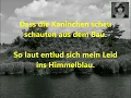 Nina Hagen - Du hast den Farbfilm vergessen (Lyrics)