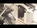 1 killed in Washington Heights apartment building fire