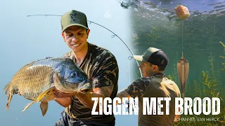 Ziggen met Brood! 🥖