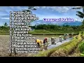 Download Lagu CAMPURSARI PALING POPULER SEPANJANG MASA#dj  remix#koplo #dandut #fypシ #campursari