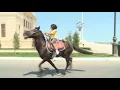 Halaji tara hath vakhanu |  #AdityaGadhavi  | Horse #riding_stunt |
