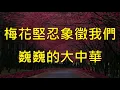 【梅花 】愛國歌曲．中華民國國花 R.O.C