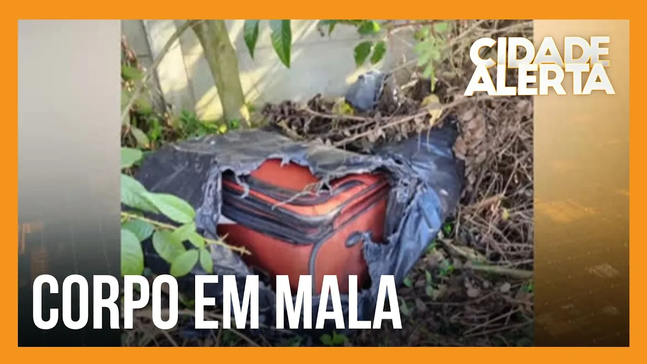 Corpo encontrado dentro de mala de viagem no Paraná é de uma mulher adulta, aponta perícia
