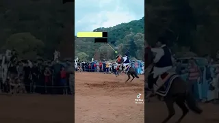 الفارس ادريس بولطيعه ماشاء الله 