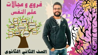 5 مجالات وفروع علم النفس 