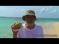 All About Relaxation And Healing By Dr Richard Schulze