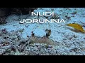 Lagu 25.10 보홀 누디 Jorunna Rubescens