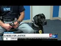Sniffing out predators Huntsville Police introduce tech-detecting K-9