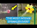 Intense Dancing Flower Sprinkler Crazy Daisy