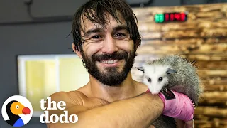MMA Fighter’s Chance Encounter With A Baby Opossum Changes His Life | The Dodo