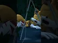 Sonic Boom Tails Sleeping