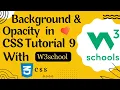 Background color and opacity property in CSS Tutorial 08 in Urdu Hindi CodeWithAI1