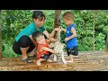 Download Lagu Ontwerp van een bamboehuis, een met bamboe overdekte tuin voor kinderen.
